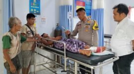 Dok. Korban penyerangan harimau