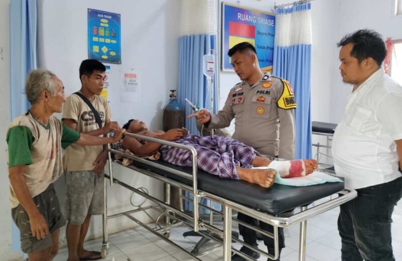 Dok. Korban penyerangan harimau