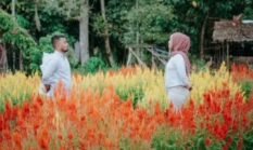 Transformasi Okura: Dari Lahan Tidur Menjadi “Negeri Bunga” di Bawah Binaan PLN NP UP Tenayan