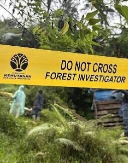 Cukong TNTN Tersangka Tapi Bebas Berkeliaran, Pengamat: Jangan Jadikan Pengembalian Lahan sebagai “Tiket Bebas Penjara”